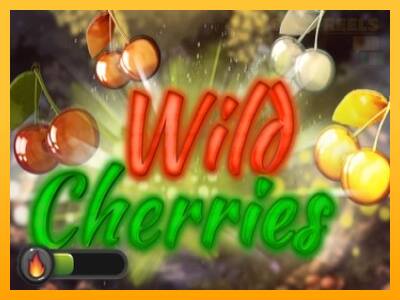 Wild Cherries παιχνιδομηχανή για τα χρήματα