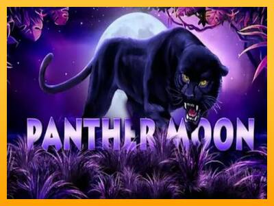 Panther Moon παιχνιδομηχανή για τα χρήματα