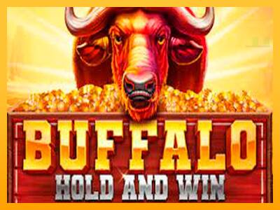 Buffalo Hold and Win Extreme παιχνιδομηχανή για τα χρήματα