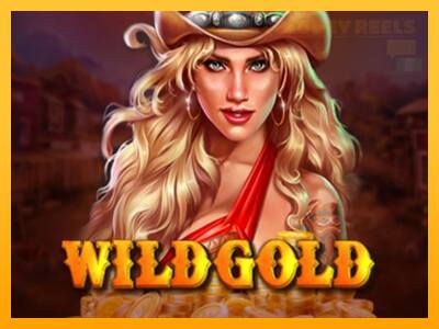 Wild Gold 100000 παιχνιδομηχανή για τα χρήματα