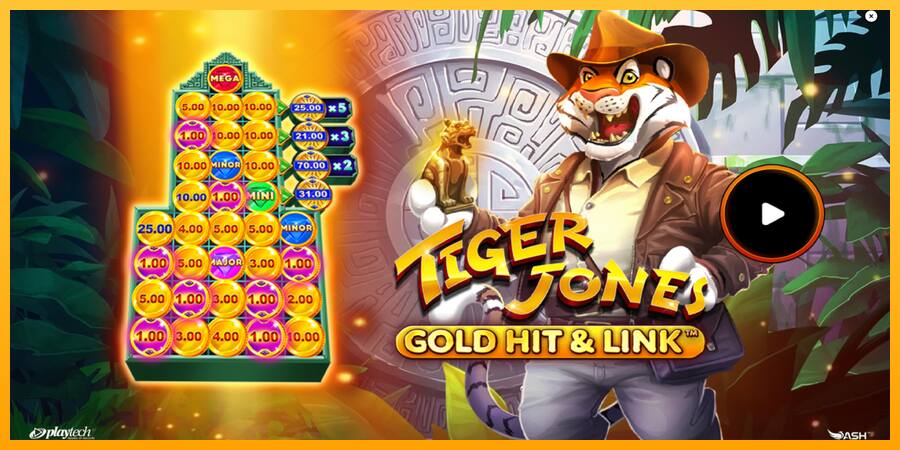 Gold Hit & Link: Tiger Jones παιχνιδομηχανή για τα χρήματα, εικόνα 1