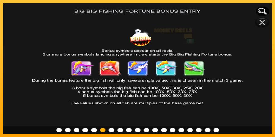 Big Big Fishing Fortune παιχνιδομηχανή για τα χρήματα, εικόνα 6