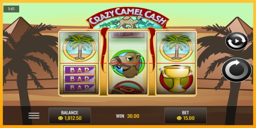 Crazy Camel Cash παιχνιδομηχανή για τα χρήματα, εικόνα 3