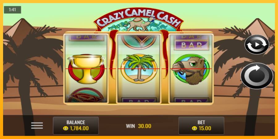 Crazy Camel Cash παιχνιδομηχανή για τα χρήματα, εικόνα 4