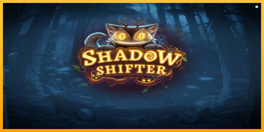 Shadow Shifter παιχνιδομηχανή για τα χρήματα, εικόνα 1